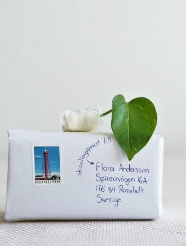Plantbyrån skicka en stickling med posten