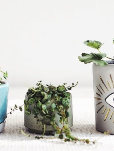 Plantbyrån lufttorkande lera