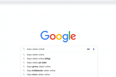Plantbyrån köpa växter online
