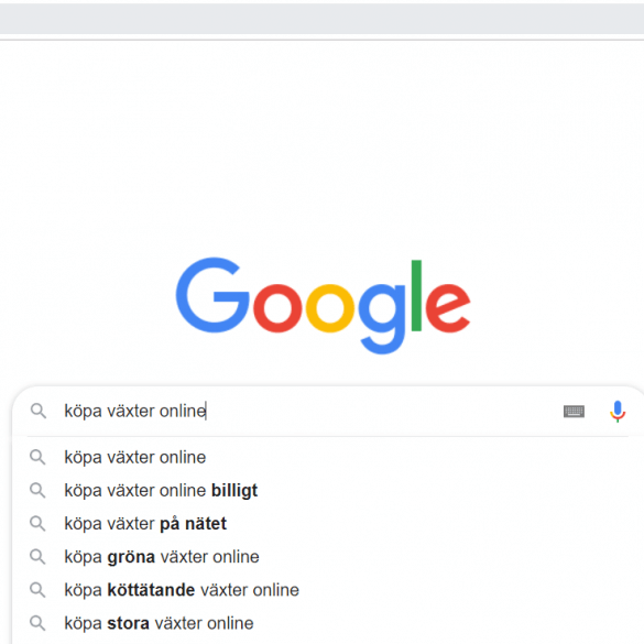 Plantbyrån köpa växter online