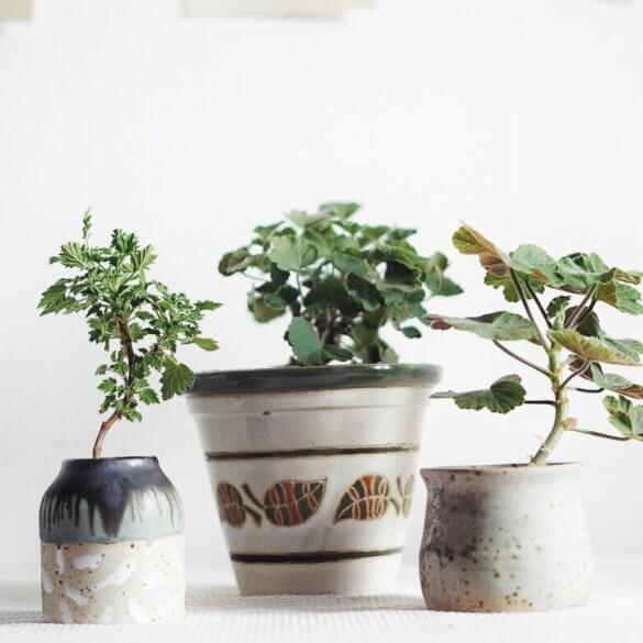 Växtbelysning Plantbyrån