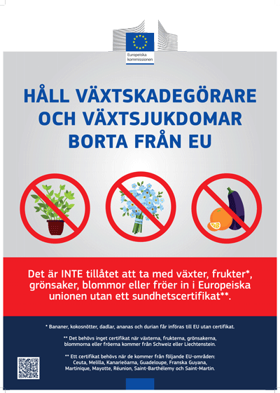 Ta med växter hem till Sverige