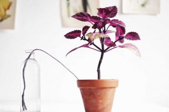 Självvattnande kruka Plantbyrån