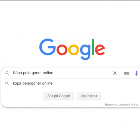 Köpa pelargoner online