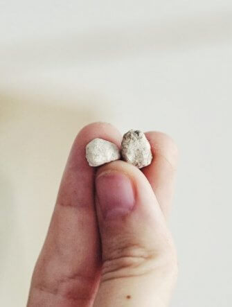 Perlite växter Plantbyrån