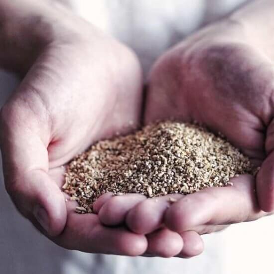 vermiculite kruväxter