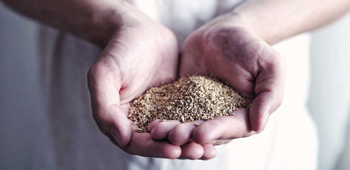 vermiculite kruväxter